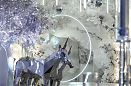 Ресторан «Банкетный Небесный» — банкетный зал в Санкт-Петербурге