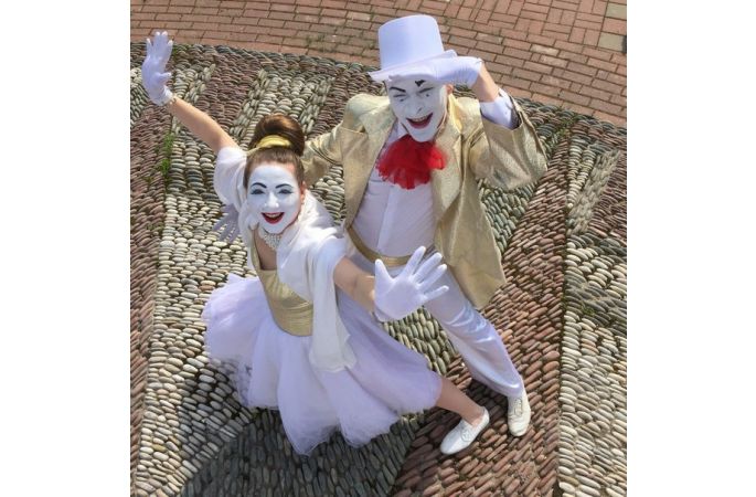Шоу-программы